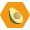 Palta